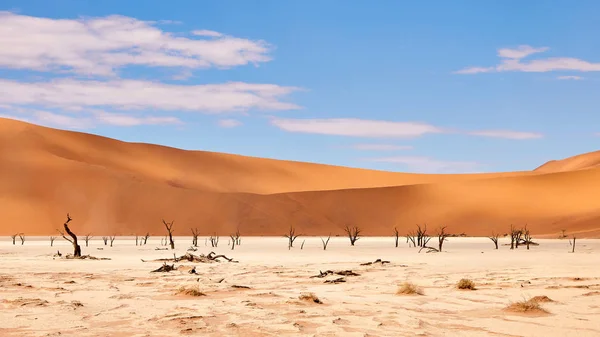 Όμορφο Τοπίο Στην Έρημο Namib Στο Deadvlei — Φωτογραφία Αρχείου