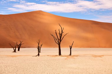 Deadvlei 'deki Namib çölünün güzel manzarası.
