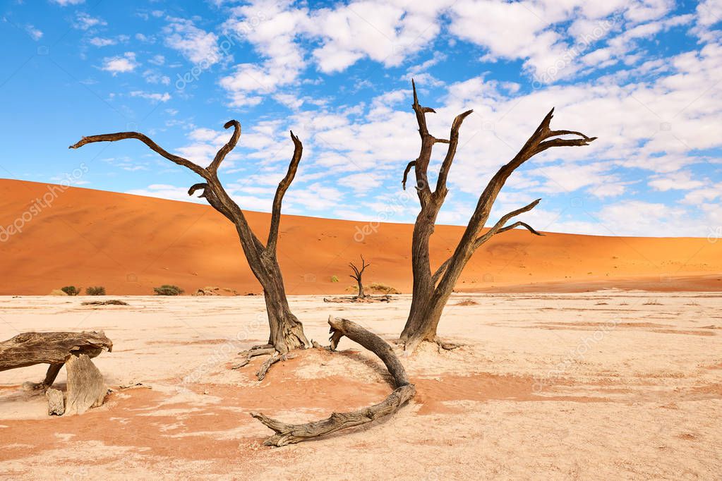 beautiful landscape in the Namib desert at Deadvlei