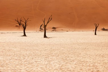 Deadvlei 'deki Namib çölünün güzel manzarası.