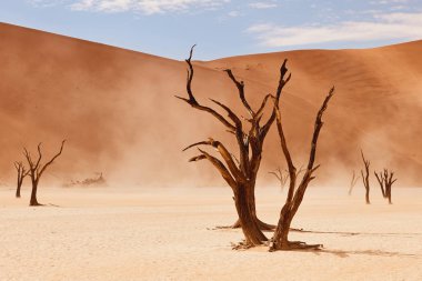 güzel manzara, Deadvlei, mat stil Namib Çölü'nde.