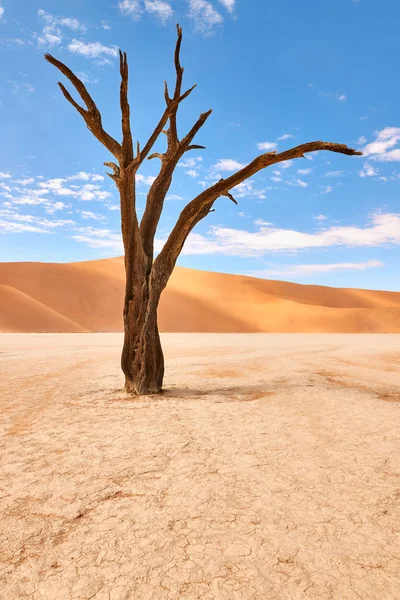 Namibie pouštní krajina — Stock fotografie