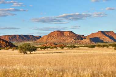 Damaraland, Namibya'da güzel manzara.