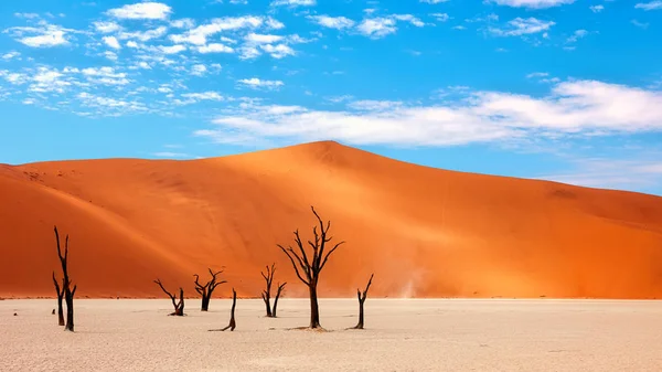 Paisaje del desierto namibio — Zdjęcie stockowe