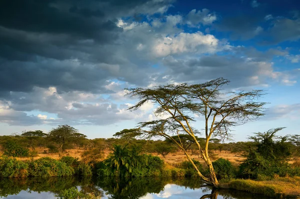 Mooi Afrikaans landschap, in Tanzania. — Stockfoto