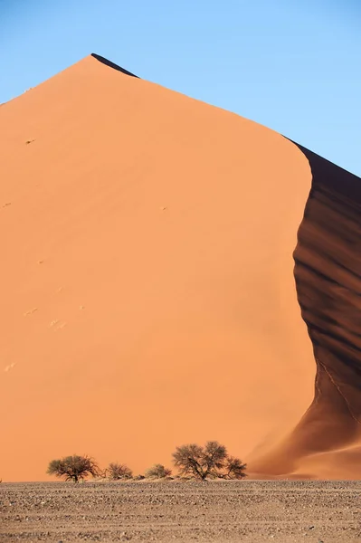 Namib Desert Dune w: Sossusvlei. — Zdjęcie stockowe