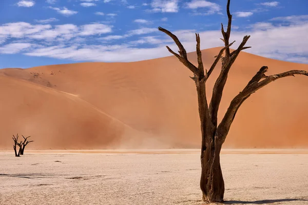 Ναμίμπια τοπίο ερήμων — Φωτογραφία Αρχείου