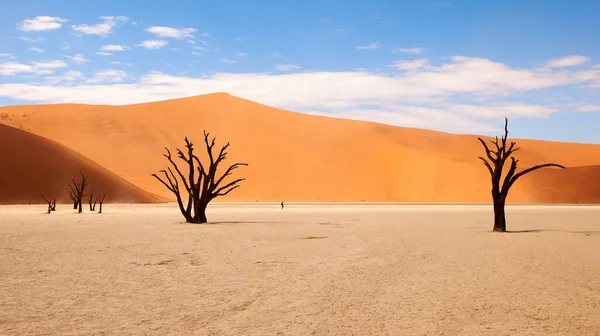Gyönyörű Táj Namib Sivatagban Deadvlei Egy Turista Sétál Távolban — Stock Fotó