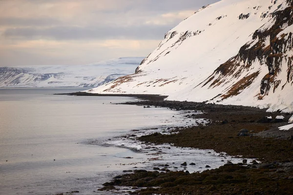 Krajina Podél Islandského Pobřeží Zimě Během Oblačného Dne — Stock fotografie