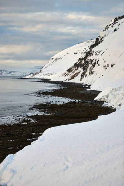 Landschaft Entlang Der Isländischen Küste Winter Bei Bewölktem Himmel — Stockfoto