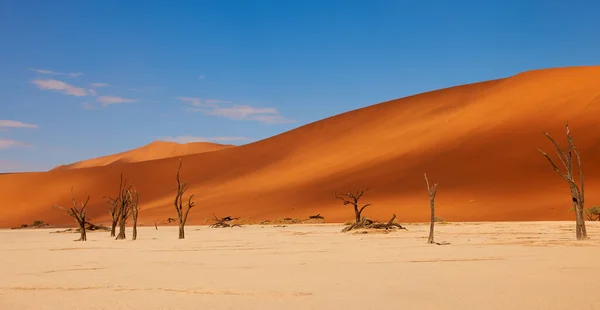 Vackert Landskap Namib Öknen Vid Deadvlei — Stockfoto