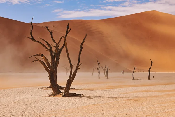 Deadvleii Deki Namib Çölünün Güzel Manzarası — Stok fotoğraf