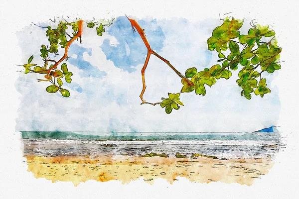 Listy Stromu Luxusní Pláž Barvě Vody — Stock fotografie