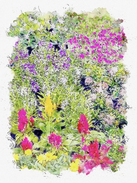 カラフルな花の水彩イラストのスタイル — ストック写真