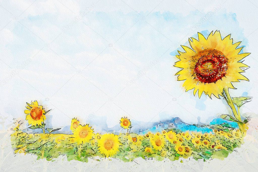 Watercolor of Sunflower field in blue sky.