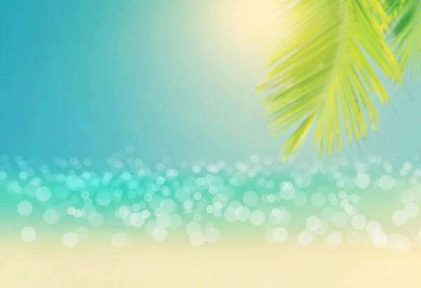 Blurred Palm Trees Coconut Trees Leaf Blue Sky Sunshine Light — Stock Photo, Image