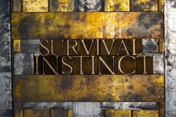 Survival Instinct Tekst Gevormd Met Echte Authentieke Lettertype Letters Vintage — Stockfoto