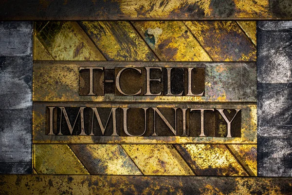 Cell Immuniteit Tekst Gevormd Met Echte Authentieke Lettertype Letters Vintage — Stockfoto