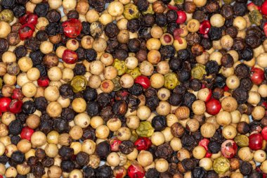 Dört sezonluk biber. Yakın çekim.