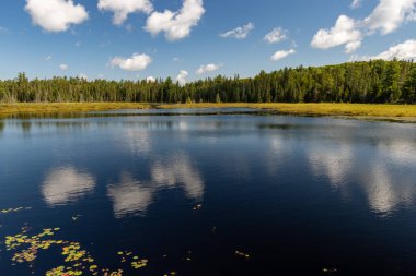 Algonquin İl Parkı 'ndaki Wolf Howl Gölü manzarası