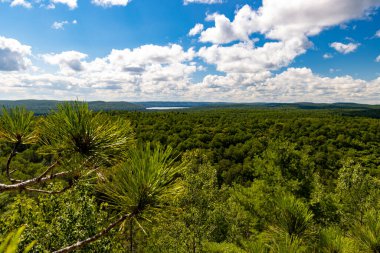 Algonquin İl Parkı 'ndaki Patika Ormanı manzarasına bakın.