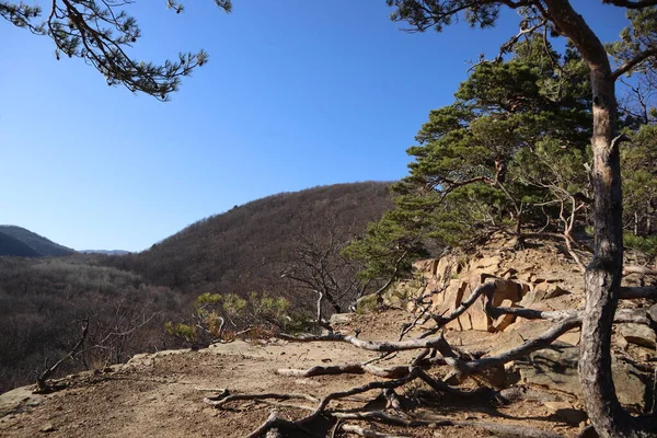Baharın başlarında muhteşem dağ manzarası