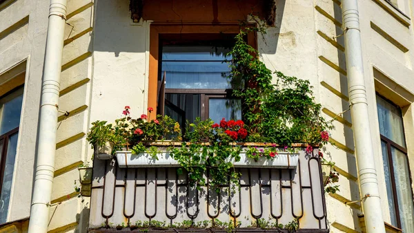 Балкон Старого Здания Цветы — стоковое фото
