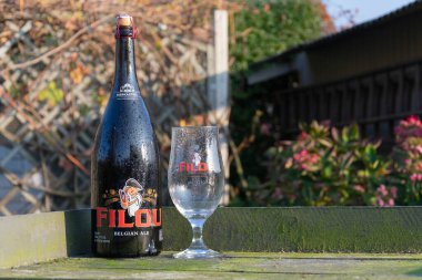 Sint Gillis waas, Belçika - 22 Kasım 2018: Sonbahar güneşinde soğuk camlı koyu sarı Belçika özel birası Filou