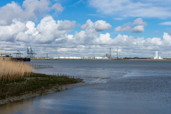 Der Oiltanking Stolthaven Antwerpen Von Der Geisterstadt Doel Aus Gesehen — Stockfoto