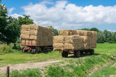 Güzel bulutlu gökyüzü olan bir tarlada samanla dolu iki traktör.