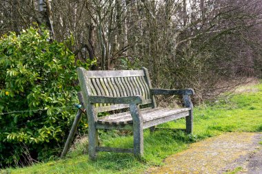 Baharın güneşli bir gününde yıpranmış eski bankta