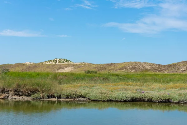 Parque Natural Zwin Knokke Heist Bélgica Foto Paisaje Con Las — Foto de Stock