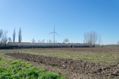 Sint Gillis Waas, Belçika, 22 Mart 2020 'de arka planda asbest plakaların çatı ve rüzgar türbini olarak kullanıldığı bir alanda çok uzun bir süre geçirildi.