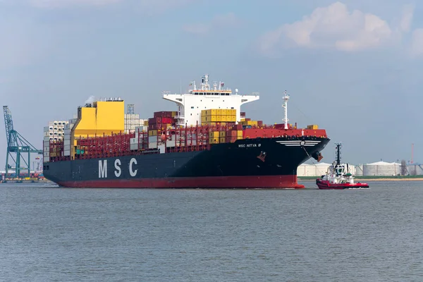 Doel Belgien März 2020 Msc Nitaya Das Schiff Ist Ein — Stockfoto