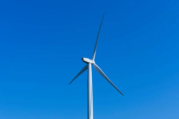 Sint Gillis Waas Bélgica Abril 2020 Energía Eólica Las Turbinas — Foto de Stock