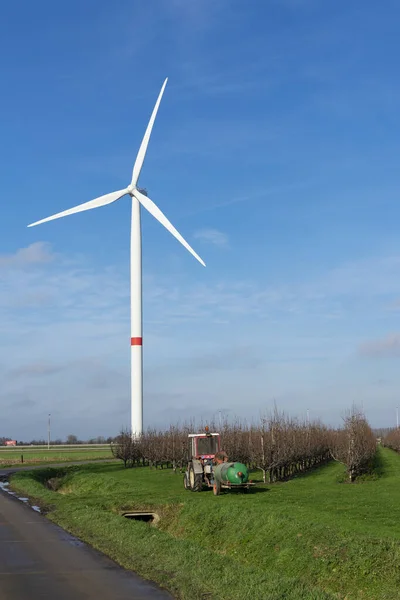 Sint Gillis Waas Bélgica Enero 2020 Molino Viento Borde Campo — Foto de Stock