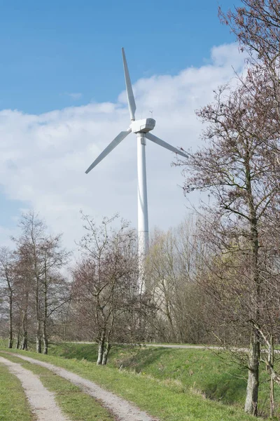 Turbina Eólica Entorno Verde Junto Camino Arenoso — Foto de Stock