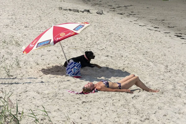 Terneuzen Netherlands August 2019 Woman Bikini Lies Her Dog Umbrella — Stock Photo, Image