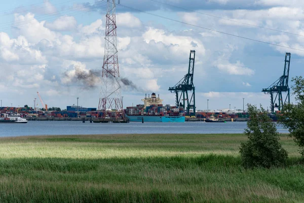 Doel Bélgica Junio 2019 Gran Buque Carga Seago Line Está —  Fotos de Stock