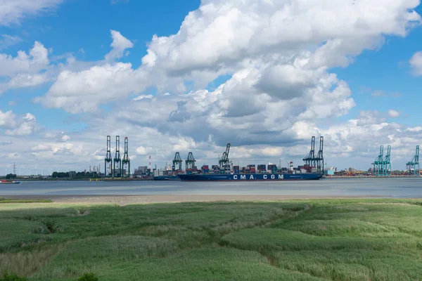 Doel Belçika Haziran 2019 Cmacgm Georg Forster Gemisi Antwerp Limanında — Stok fotoğraf