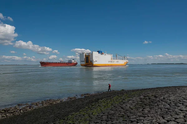 オランダのTernezen 2020年7月12日 貨物船Grimaldiライン Grande Afrika および石油製品タンカーSloman Themisが交差する — ストック写真