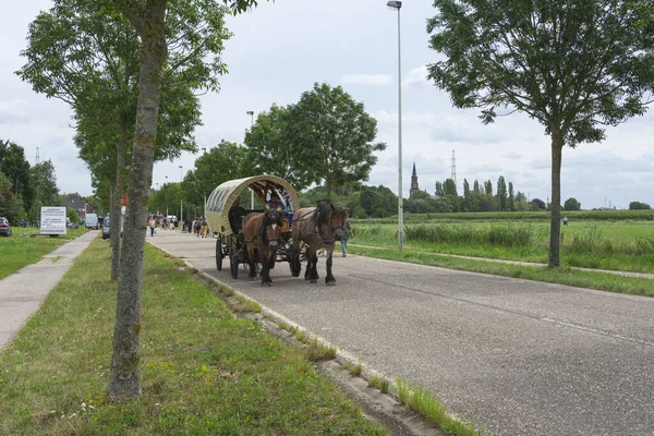 Doel Augustus 2019 Man Rijdt Paard Wagen Door Straat — Stockfoto