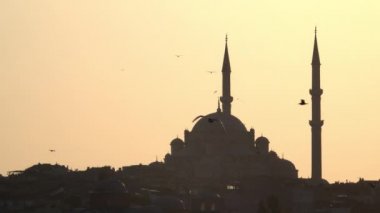 Fatih Camii, Istanbul uçan kuşlar