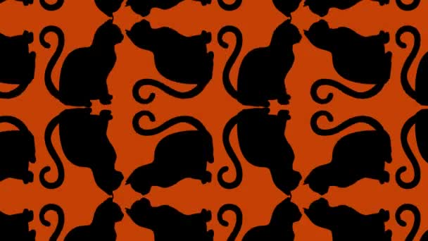 Komik Kedi Kaleydoskop Döngüsü Kedi Dünyası Psişik Geçmişi — Stok video