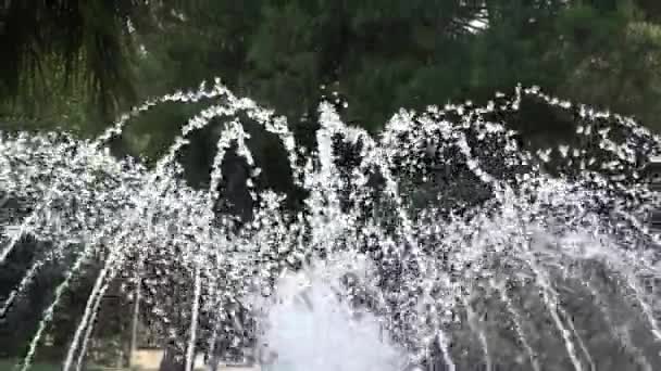 Large Water Fountain Close Water Jet Timelapse — Stock Video