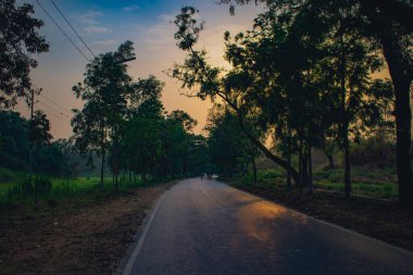 Sakin bir yaz akşamı Chattogram, Bangladeş 'te, yemyeşil ağaçların arasından süzülen sakin bir yol gün batımının sıcak altın ışığı altında.