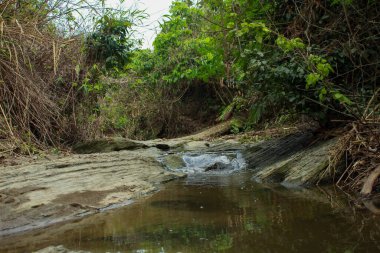 Sakin, sığ bir dere, sık orman bitkileriyle çevrili bir şelale kuyruğundaki kayaların üzerinden akar ve Bangladeş Chattogram 'da ferahlatıcı bir doğal manzara yaratır..