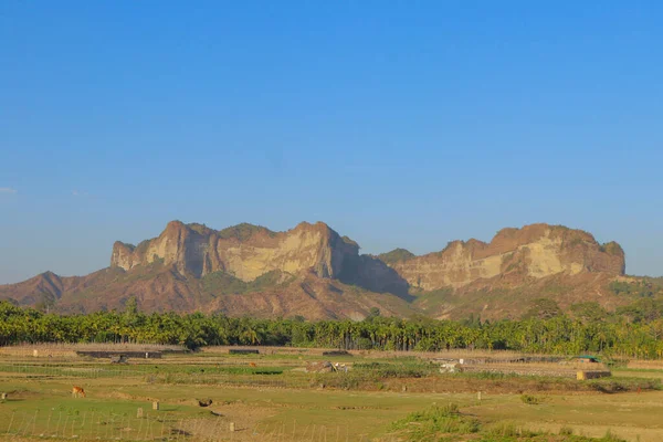 Berrak mavi gökyüzüne karşı yükselen engebeli altın-kahverengi tepelerin nefes kesici manzarası, yemyeşil palmiye ağaçları ve ön planda uzanan tarım arazileri.