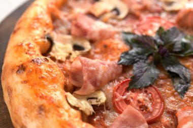 Peynirli pizza. Yakın plan.