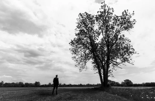 lonely adult man looks at a tree. sad and thoughtful in his depression. shilouette of tree and man